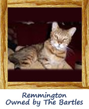 Remmington